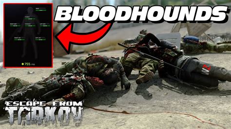 Medical bloodset (Bloodset) is an item in Escape from <strong>Tarkov</strong>. . Tarkov bloodhounds